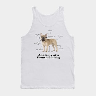 Anatomy of a French Bulldog Tank Top